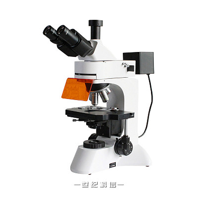 VMF30LED三目正置荧光显微镜无限远光学系统